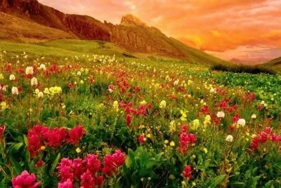 imagem jigsaw puzzle