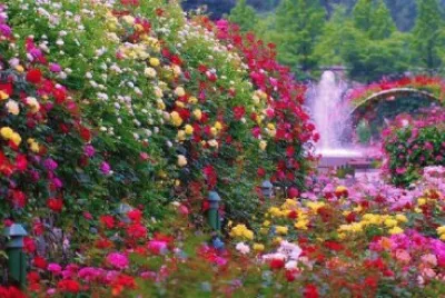 imagem jigsaw puzzle