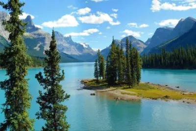 Nature jigsaw puzzle