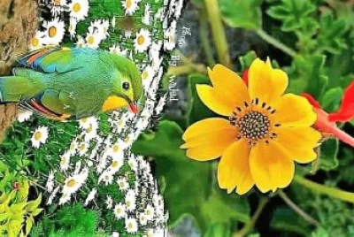 natural jigsaw puzzle