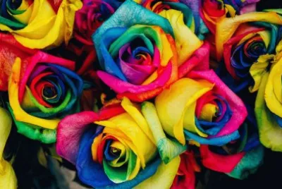 Imagem jigsaw puzzle