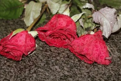Rosas jigsaw puzzle