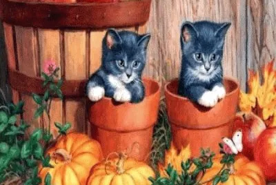 Foto jigsaw puzzle