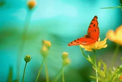cores jigsaw puzzle