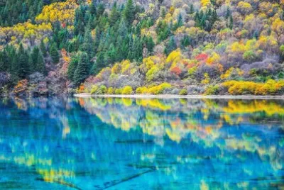 cores jigsaw puzzle