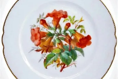 flores