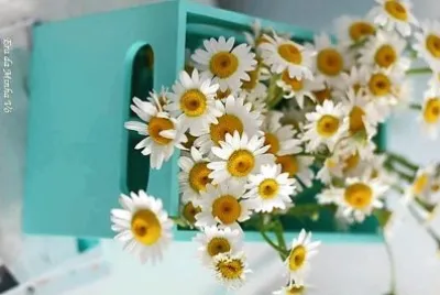 flores jigsaw puzzle