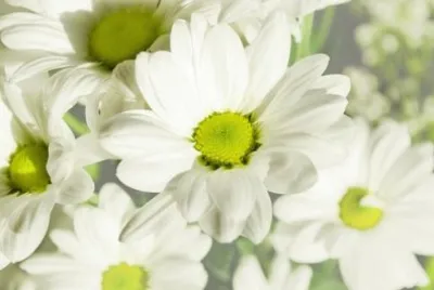 Foto jigsaw puzzle