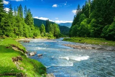 Foto jigsaw puzzle