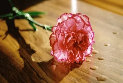 Flor