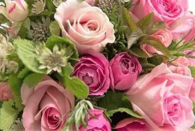 flores