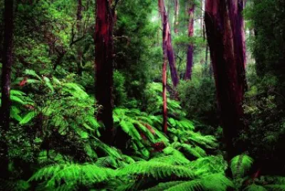 Nature