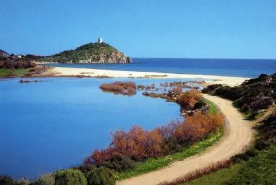 NATUREZA jigsaw puzzle