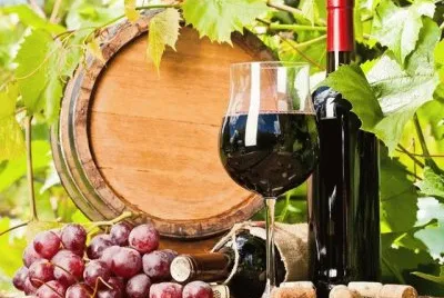 Sabores jigsaw puzzle