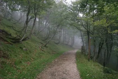 Route NapolÃ©on