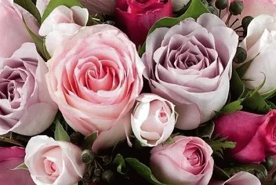 flores