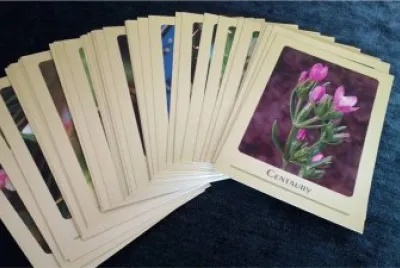 Bonito jigsaw puzzle