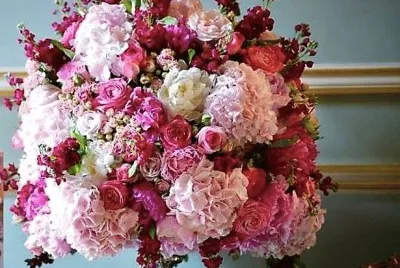 flores