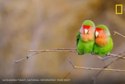 natural