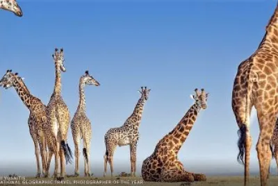 natural jigsaw puzzle