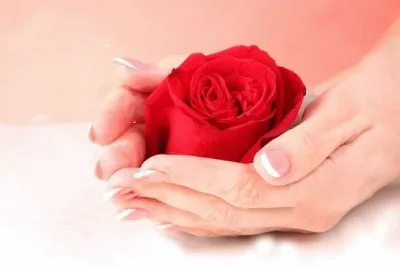Rosas