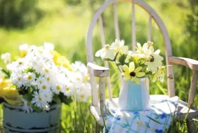 flores