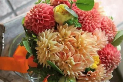 flores