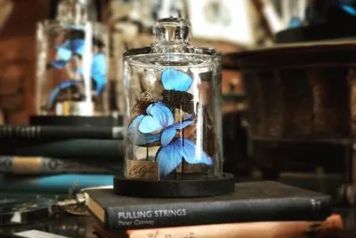 Azul jigsaw puzzle