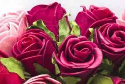 rose rosse e rosa