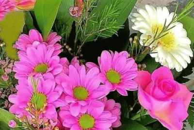 flores