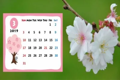 2019.03