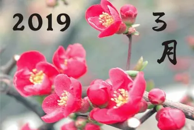2019.03