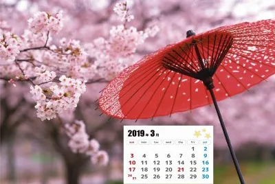 2019.03