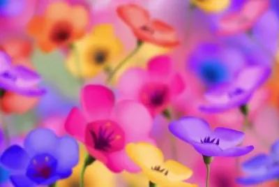 Cores