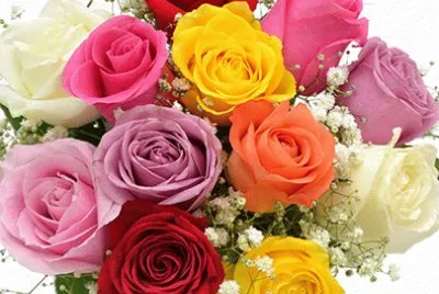 Rosas