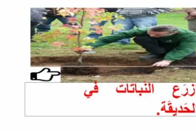 KHDA PUZZLE 1