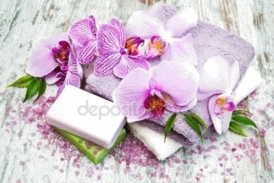 flores