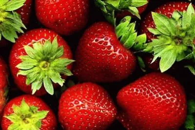 frutas jigsaw puzzle