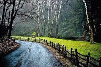 natureza jigsaw puzzle