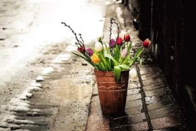 flores jigsaw puzzle