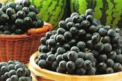 frutas jigsaw puzzle