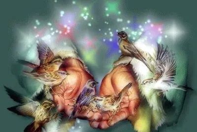 imagem