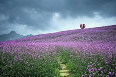 flores jigsaw puzzle