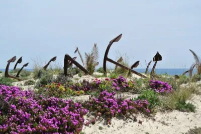 fleurs et plage jigsaw puzzle