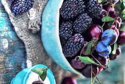 frutas jigsaw puzzle