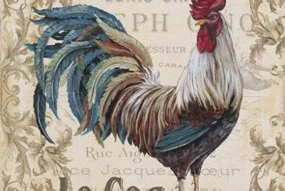 gallo