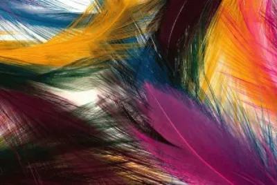 Plumas colors