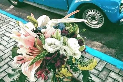 fusca
