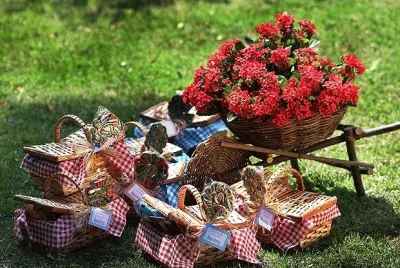 flores