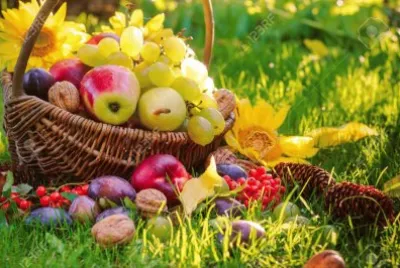 Frutas jigsaw puzzle